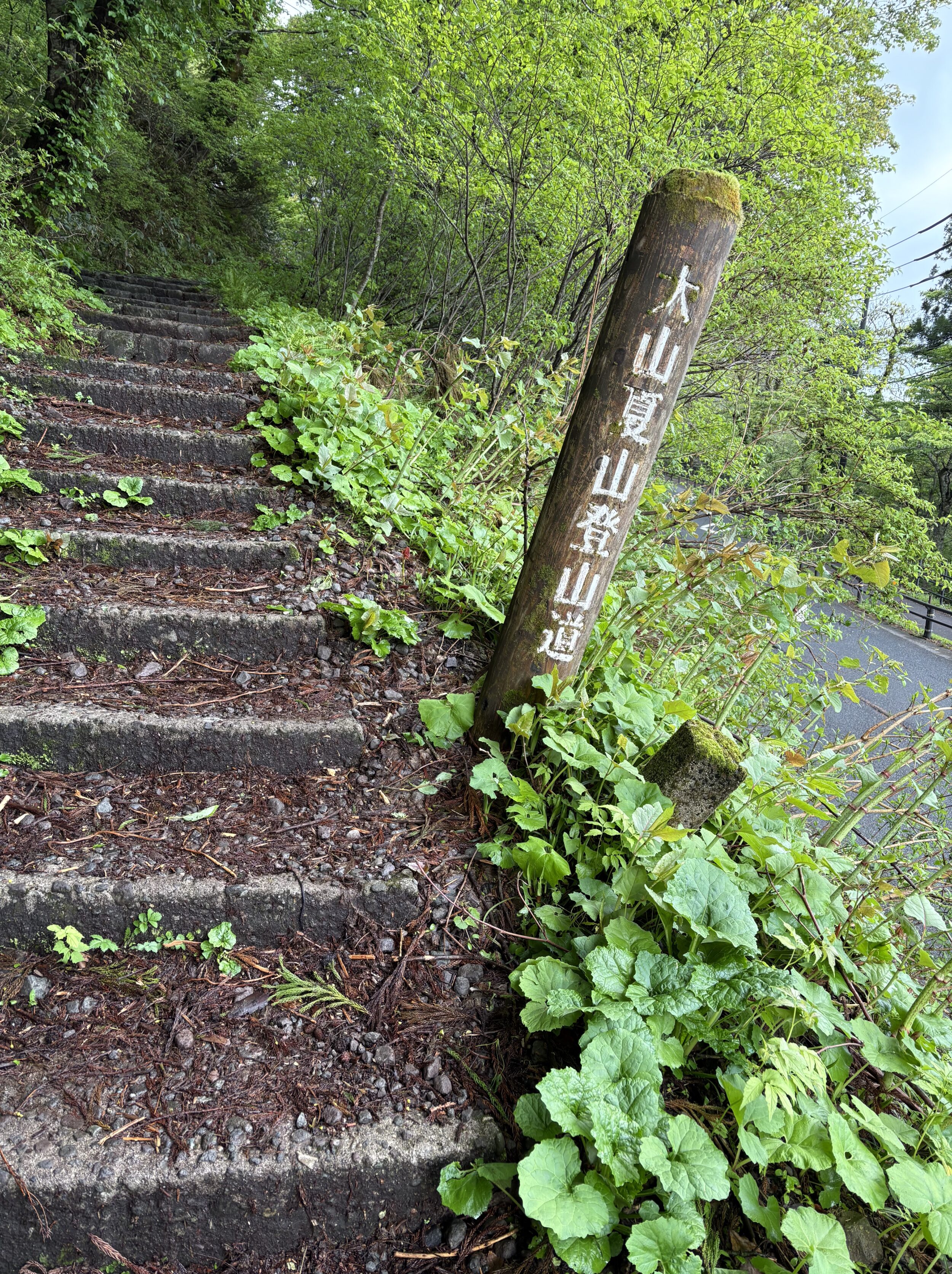 夏山登山口